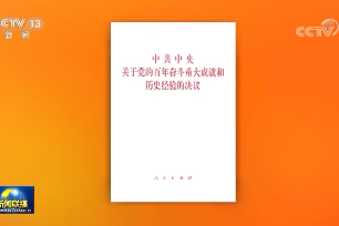 党的文献 II《中共中央关于党的百年奋斗重大成就和历史经验的决议》